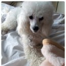 부곡약국 네이버블로그
