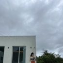 스테이 호은 이미지