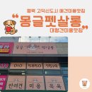 몽글펫살롱