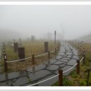 팔공산 하늘정원 이미지