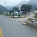 안생달교 Daum카페
