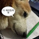 2026 제65회 국제무역사 내돈내산 합격 후기 꿀팁 (광고아님... 제가 합격이라고요?..)