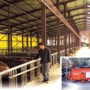 용성농장 이미지