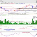 주식시장에서의 개인들의 ""매매전략""~추천종목 리딩 입니다 이미지