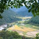 산천초목 이미지