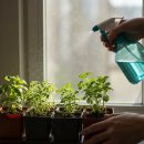 내 몸을 깨우는 홈트레이닝 이미지