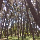 장항주유소 이미지