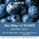 하우스농장 이미지