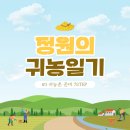 농업회사법인그린피그팜(주) | [귀농일기 #1] 귀농 준비과정 / 귀농을 결심하게 되다!