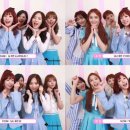 좋은소나무 이미지