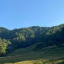 메밀꽃 화장실 이미지