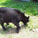 동보농장 이미지