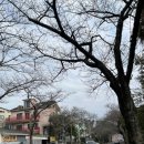 남조봉공원 이미지