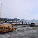 법환로71번길 | 서귀포 파스타 &amp; 피자 : 법환포구 구럼비나무