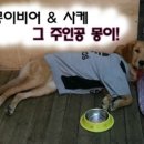 몽이비어