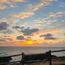 섭지코지 | 제주 해돋이 명소 | 제주도 일출, 일몰 명소 섭지코지 후기/ 해돋이 스팟 추천