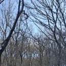 마음에고향 이미지