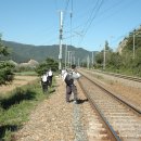 죽기 아니면 살기로 KTX 열차를 따라 영남대로 길을 달렸다. 이미지