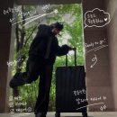 칼리아 - 고양시 일산동구 | 타임리스 칼리아캐리어 후기 여행 갈 때 진짜 중요한 건 튼튼한 캐리어 추천