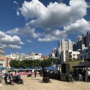 명덕초등학교 | 2025 대구 남산썸머사운드 후기
