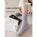 점보사 이미지