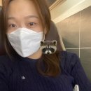 삽다리약국 | 골골엔딩