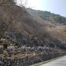 항골계곡 야영장 이미지