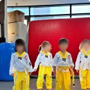 국가대표 강철태권도장 이미지