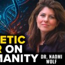 화이자 백신 문서 조사 결과 이미지