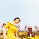 사계여행 이미지