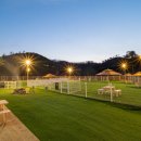 펠리스뻬로 이미지