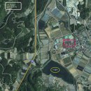 진안읍 1376 이미지