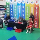 골든보이짐 이미지