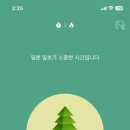 포레스트(forest) 이미지