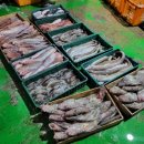 서귀포수협유통사업소 | 서귀포 수협 경매장 _ 제주 최고맛 옥돔, 갈치, 고등어 직거래