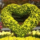 옥구읍사무소 이미지