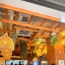 반 치앙마이 이미지