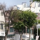 태화로R | 울산 태화동 카페 _ 디디디알캔앤보틀커피
