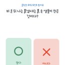 비노트 키즈