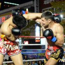 크로스펀치 이미지