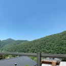 벳소캠프 이미지