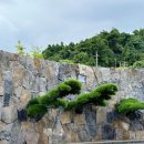 (주)제이더블유(JW)푸드 | jw메리어트 제주 프리미엄 킹 오션뷰 / 조식,룸서비스,수영장,피트니스 등 호캉스 100% 즐기기⭐️