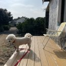 표선동물병원 이미지