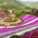 진안산소 이미지