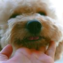 계양SKY동물메디컬센터 이미지