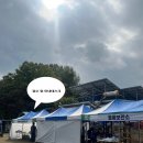 미원초등학교 | 옥화구곡 트레일러닝 청주 마라톤 10km 기념품팩•후기