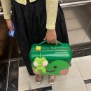 그너머소돌 이미지