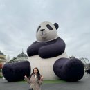 애니몰 | [에버랜드] 25개월 아기랑 에버랜드 입장부터 펭귄 애니몰톡 관람 후기