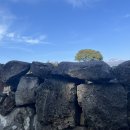 월평하원로 이미지