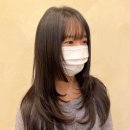 빌레트헤어